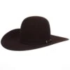 Rodeo King 10X Black Cherry 4 1/2in. Brim Self Band Open Crown Felt Cowboy Hat